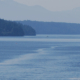 Wake of a BC Ferry on the water